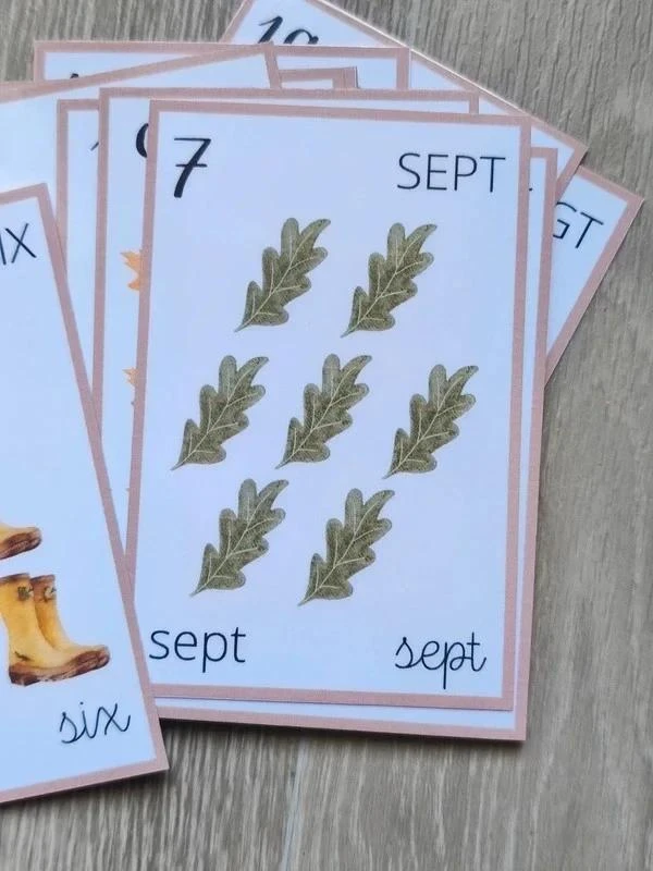 Grandes cartes pour apprendre à compter de 1 à 20 – photo 6